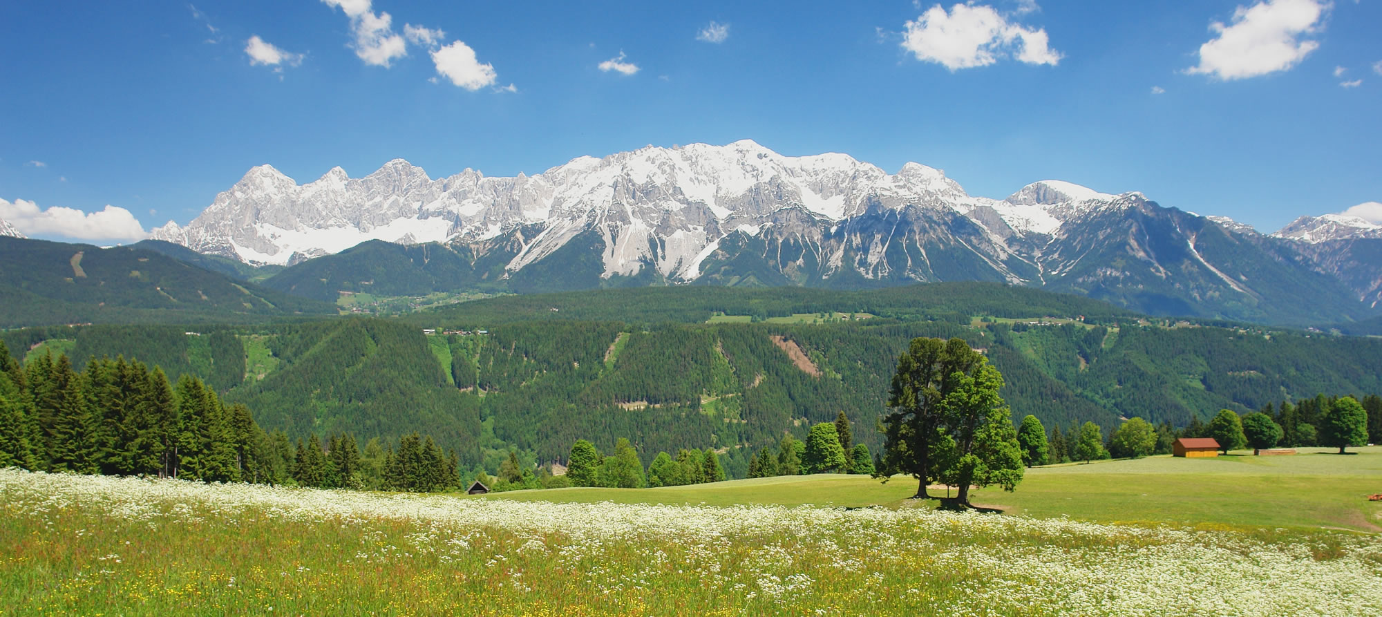 Sommerlandschaft Schladming