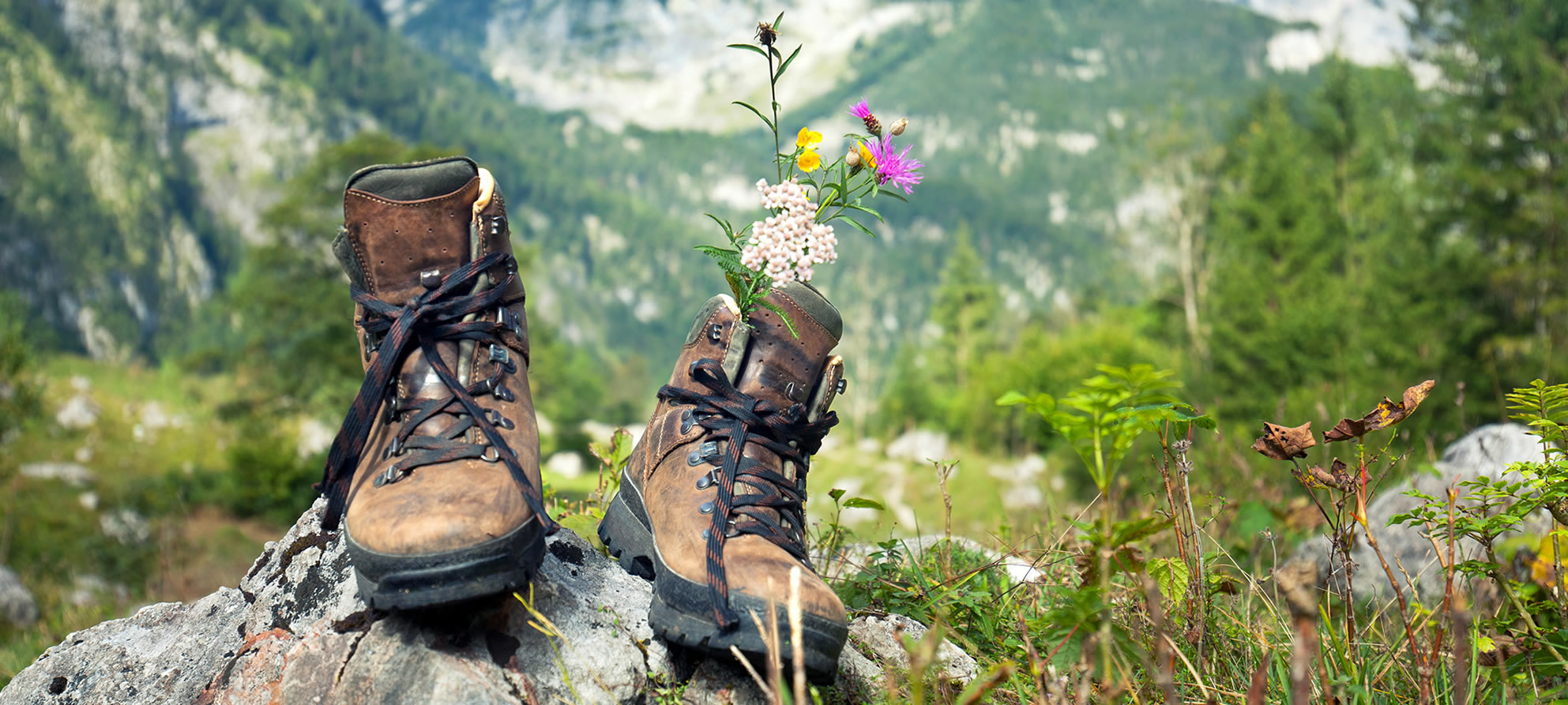 Wandern in der Ramsau mit traumhafter Naturkulisse