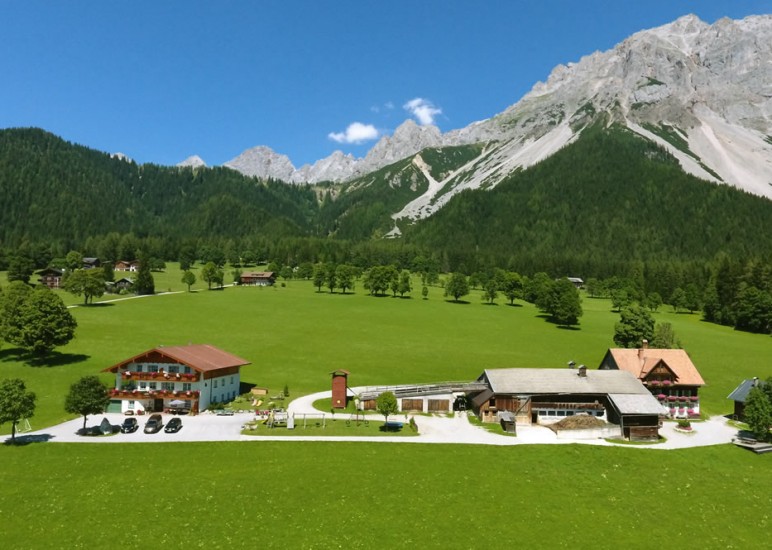 Der Pernerhof mit großem Spielplatz, Bauernhof und Hof Emilie