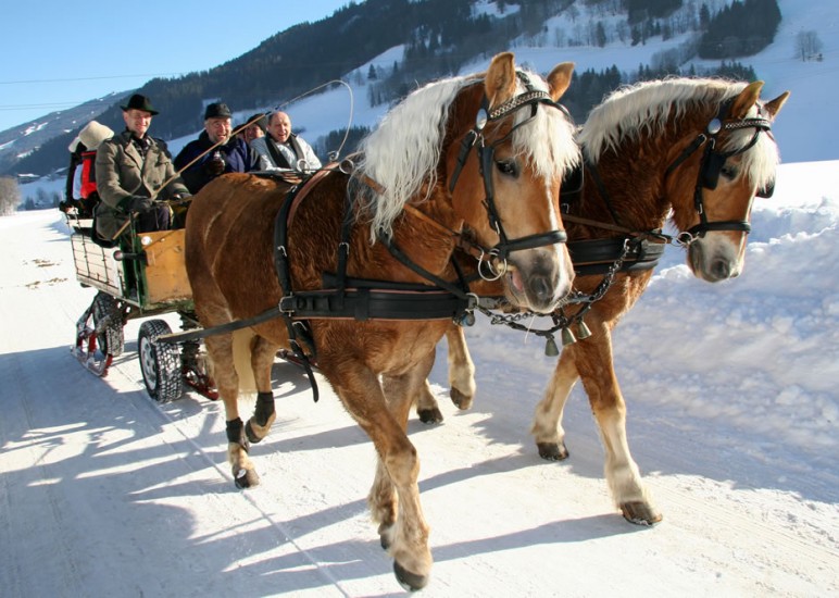 Pferdeschlittenfahrt mit der ganzen Familie im Winter in Ramsau © Schladming-Dachstein, Raffalt